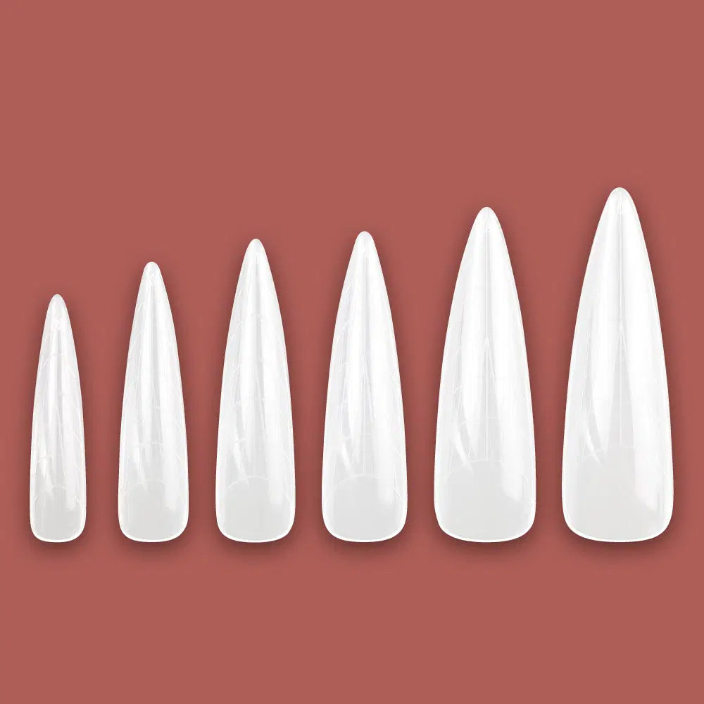 Dual form model 2