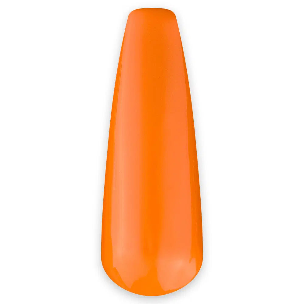 229 – Citrus Sanctuary 15ml