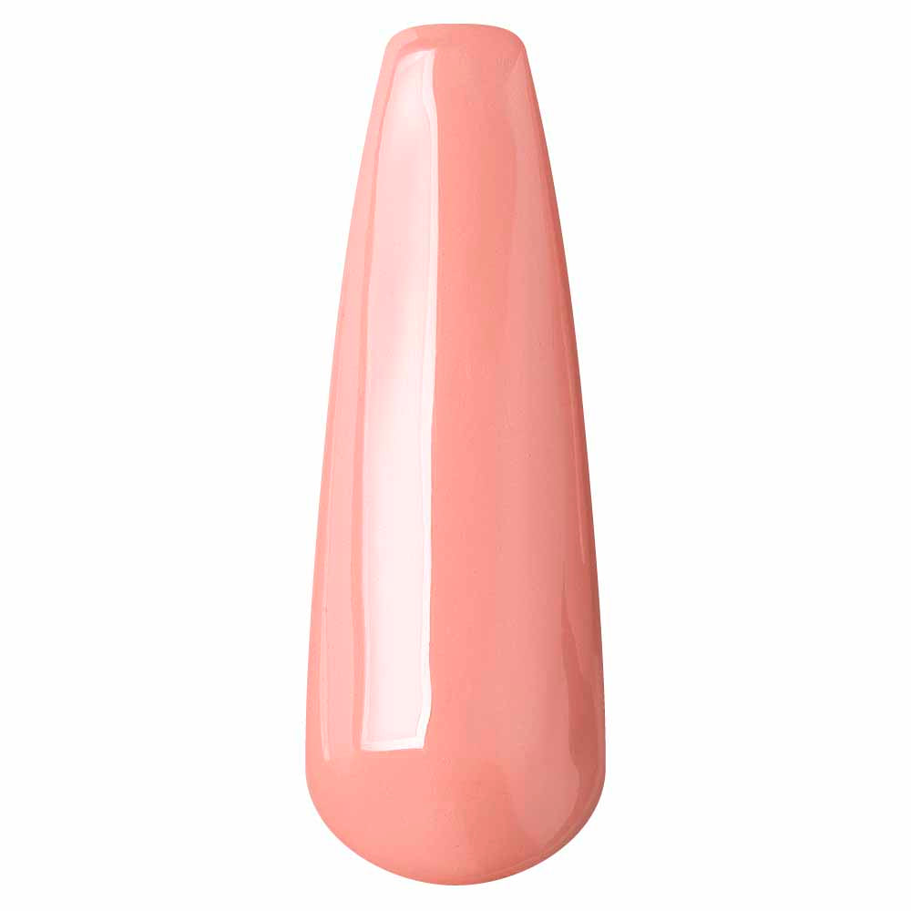 56 – Nut pudding 15 ml
