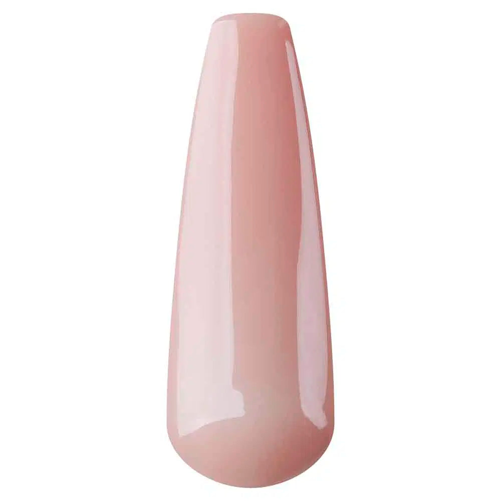Master perfection in a bottle Biscuit 15ml